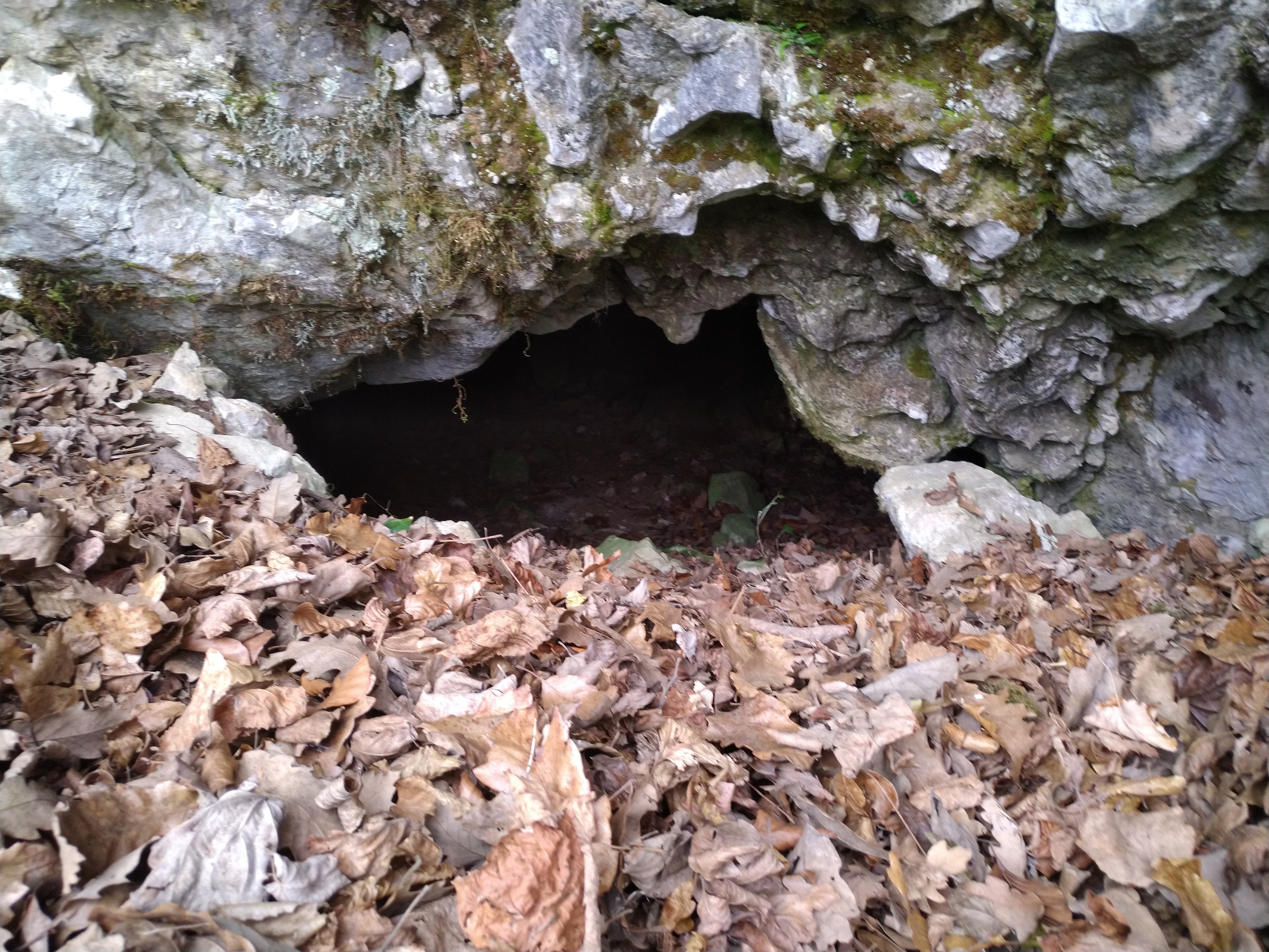 Peştera Descendentă - Image 1